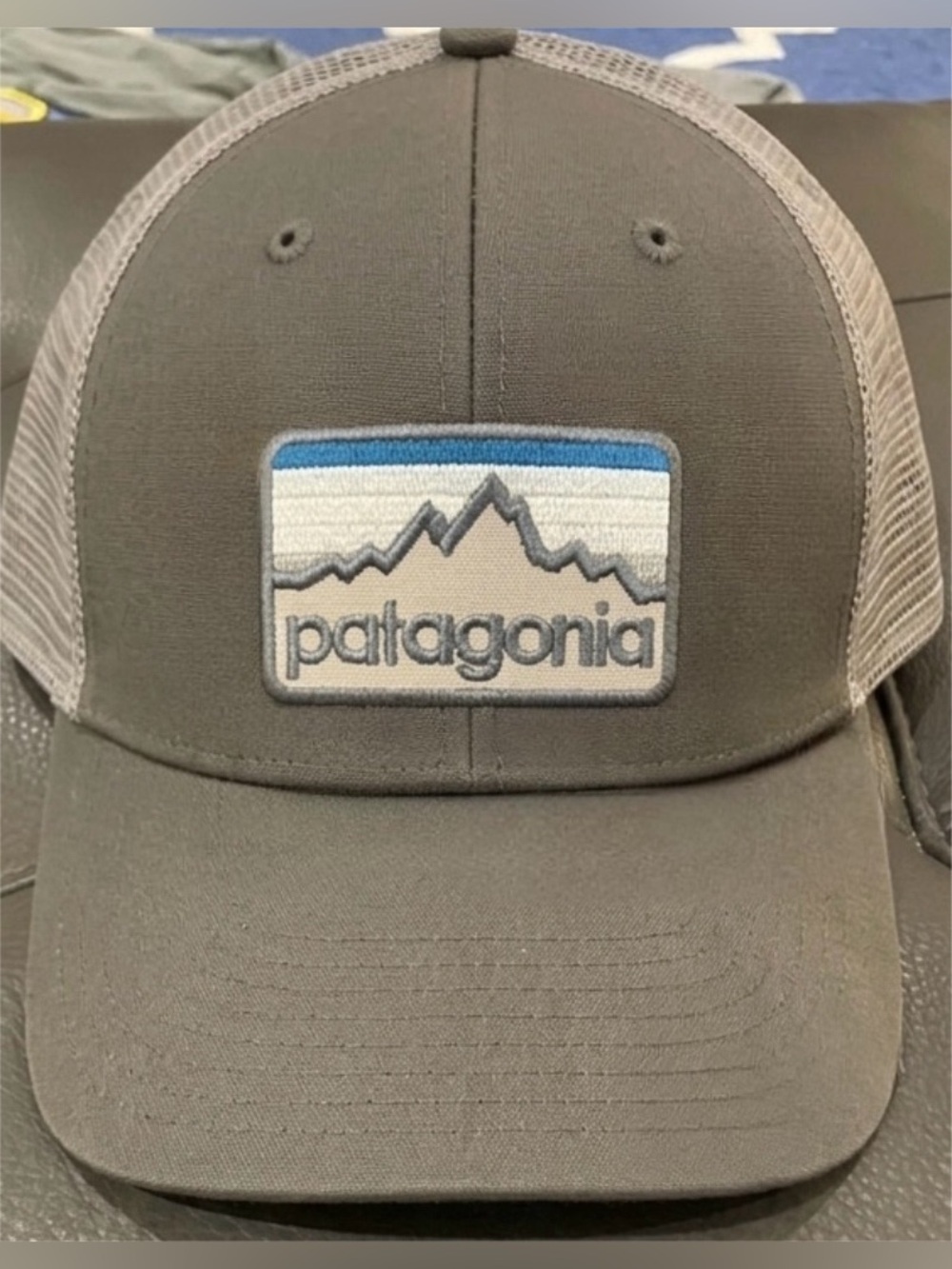 Patagonia Line Logo Badge LoPro Trucker Hat - Picture 2 of 4